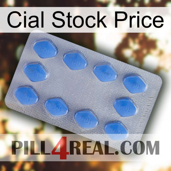 Cial Stock Price 21.jpg